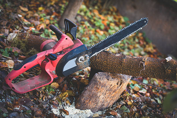 Leaf Removal in Alcoa, TN